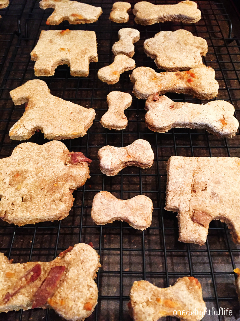 Homemade Bacon Cheddar Dog Biscuits and Frozen Yogurt Pupcakes